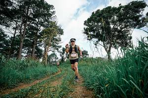 BIB: 
                            <button type="button" onclick="openModal(26034095)" class="btn btn-primary btn-sm float-right btn-popup" data-toggle="modal" data-target=".modal-high-quality">
                        <i class="fas fa-shopping-cart"></i> Add to Cart
                    </button>
                                            <button type="button" onclick="isThisMe(26034095, true)" class="btn btn-success btn-sm float-right btn-popup btn-isme hidden" data-toggle="tooltip" data-placement="bottom" title="นี่คือรูปของคุณใช่ไหม คลิกที่นี่เพื่อเอาเข้าอัลบั้ม">
                        <i class="fas fa-plus"></i> Add to album
                    </button>
                    <button type="button" onclick="isThisMe(26034095, false)" class="btn btn-warning btn-sm float-right btn-popup btn-isnotme hidden">
                        <i class="fas fa-ban"></i> Remove from album
                    </button>